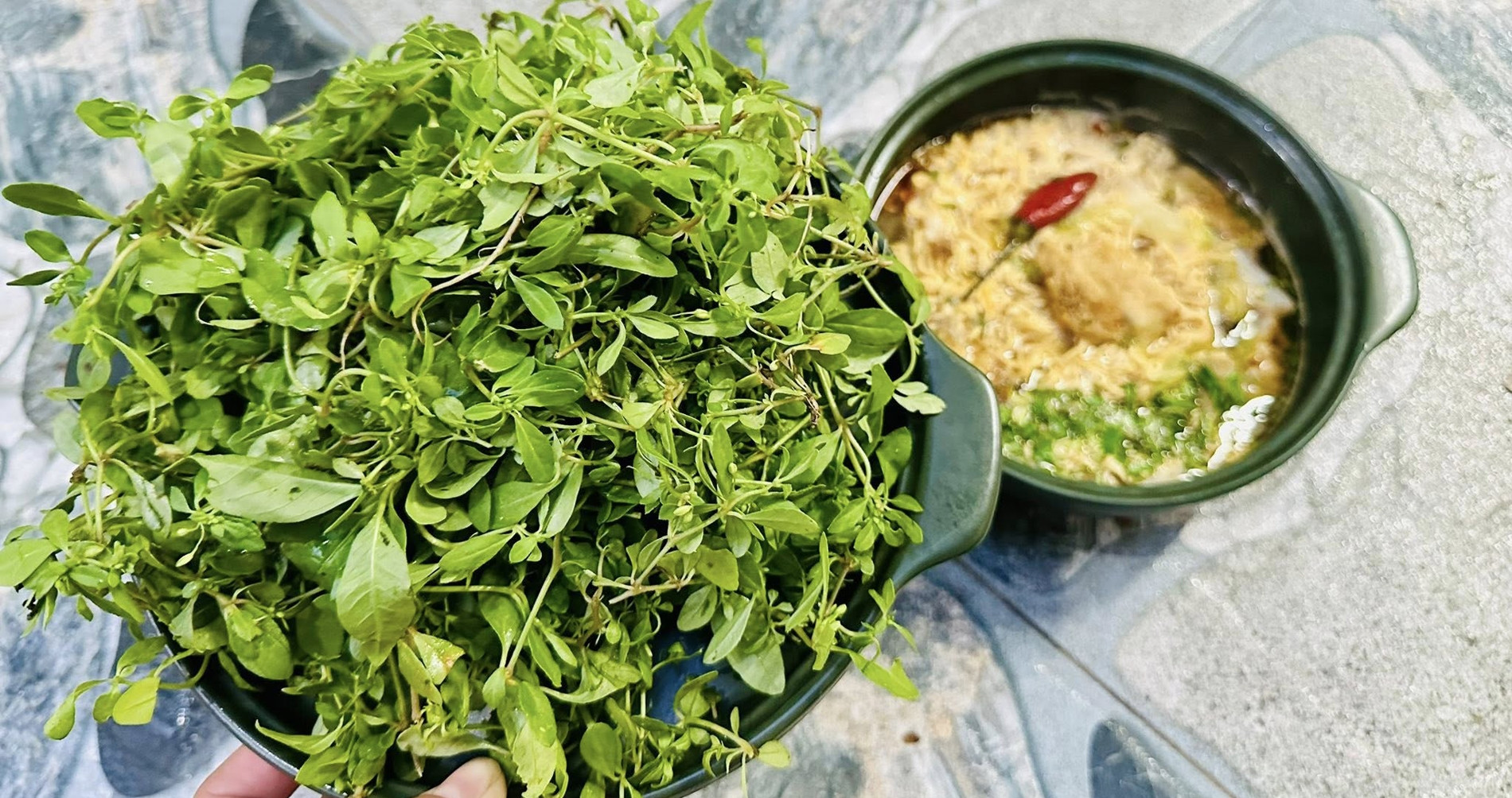 Rau 'trời ban' có từ Nam ra Bắc, vị đắng lạ, ăn cùng cháo cá lóc rất ngon