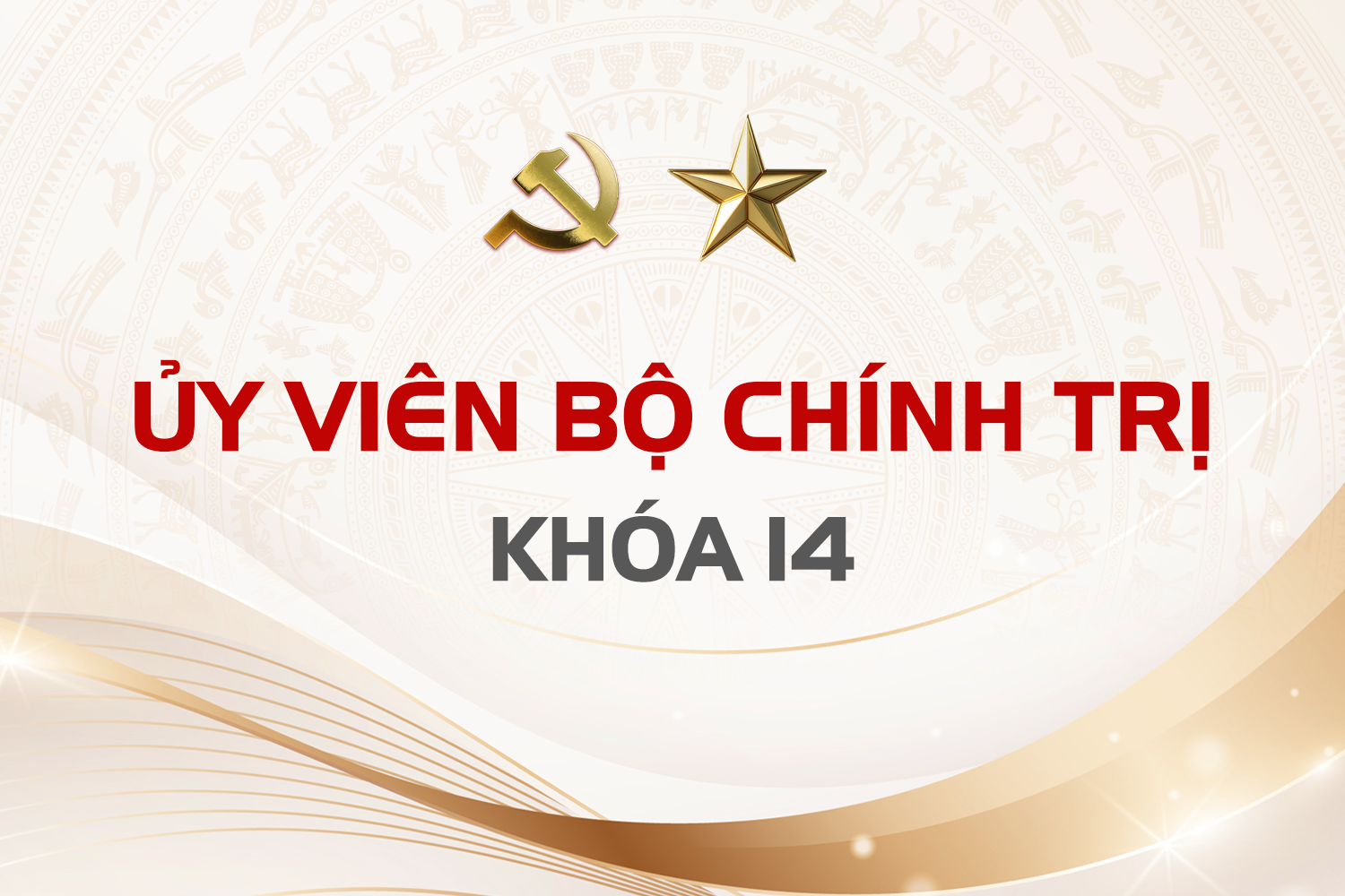 Tiểu sử 19 ủy viên Bộ Chính trị khóa 14