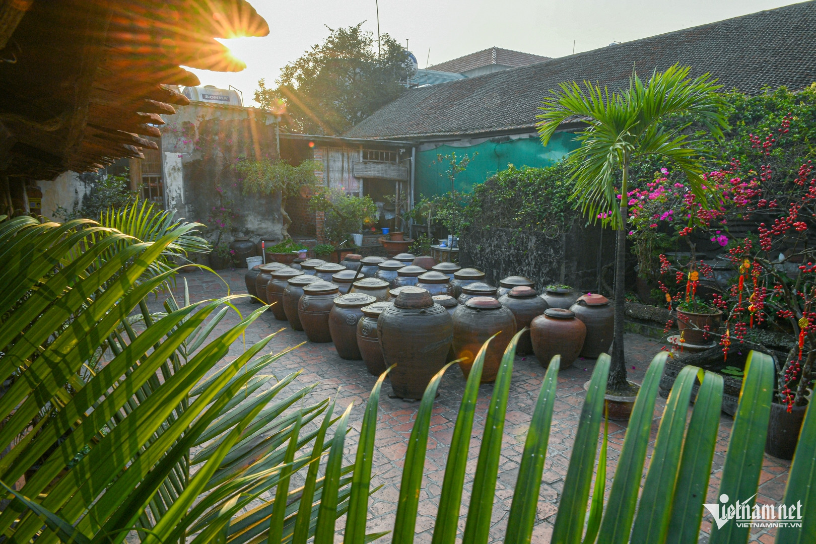 Chum tương nếp ủ lâu năm