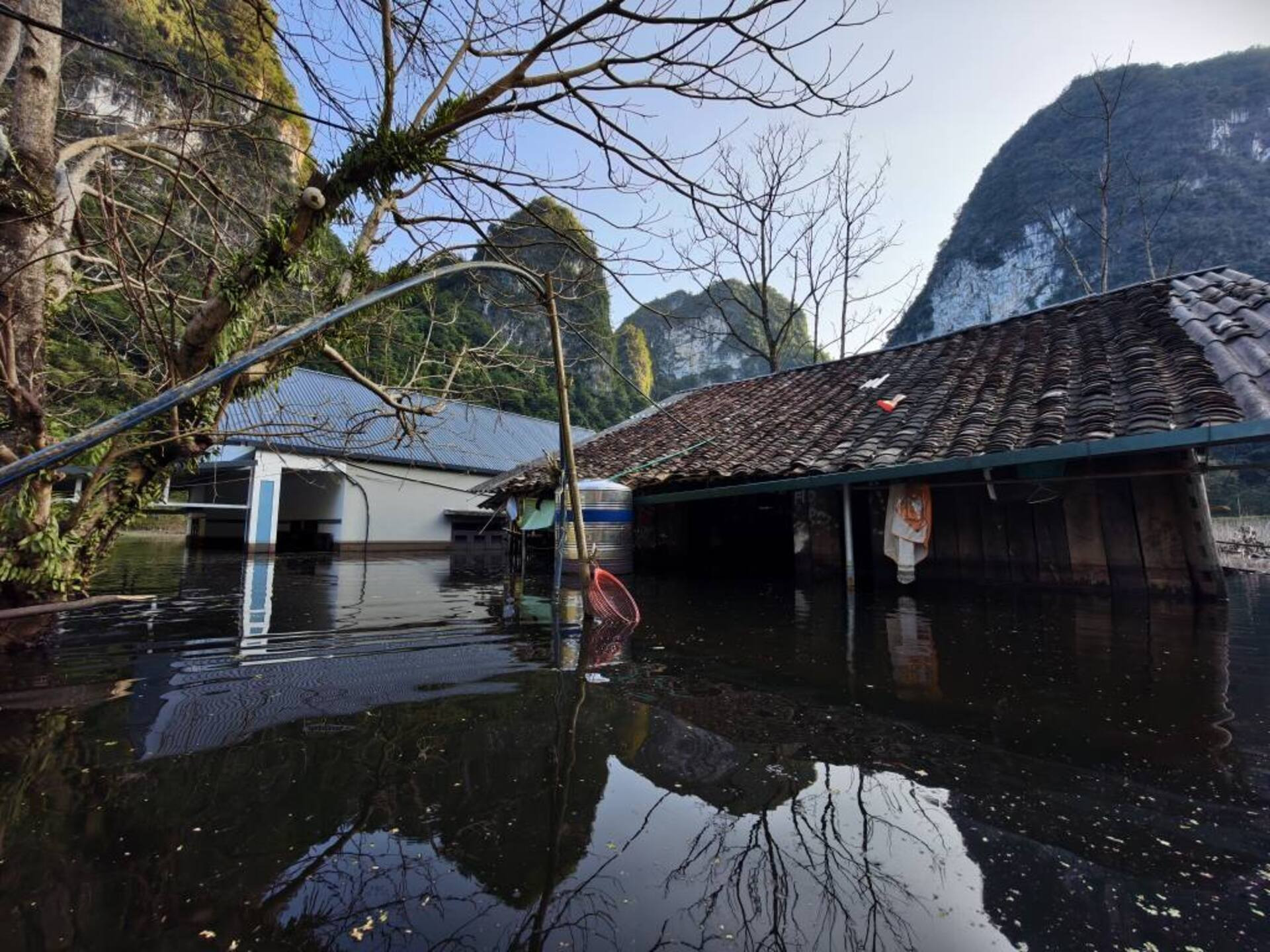 595278131 1263865219116596 4924059705745610517 n 1246.jpg