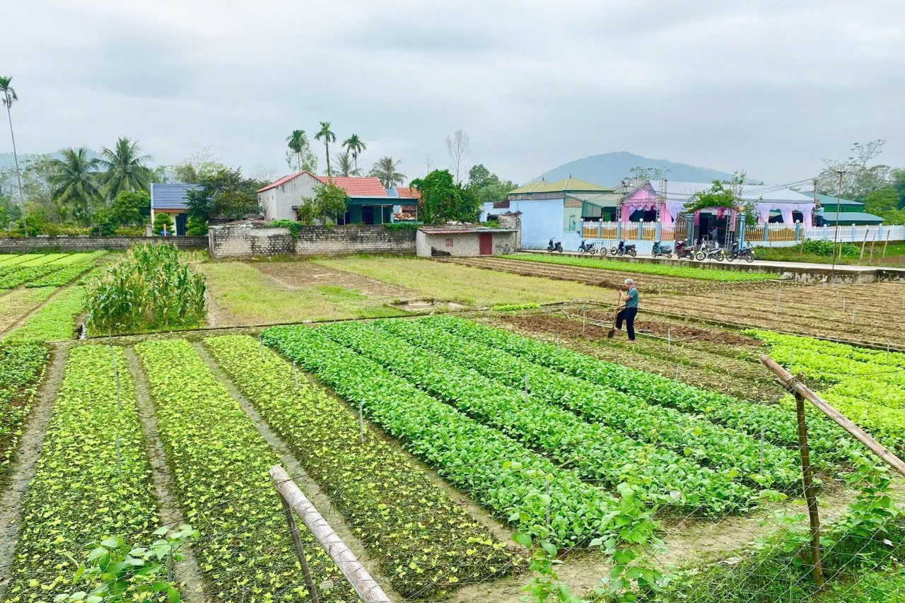 Công nghệ làm nền tảng, Hà Nội điều tiết hiệu quả cung cầu nông sản