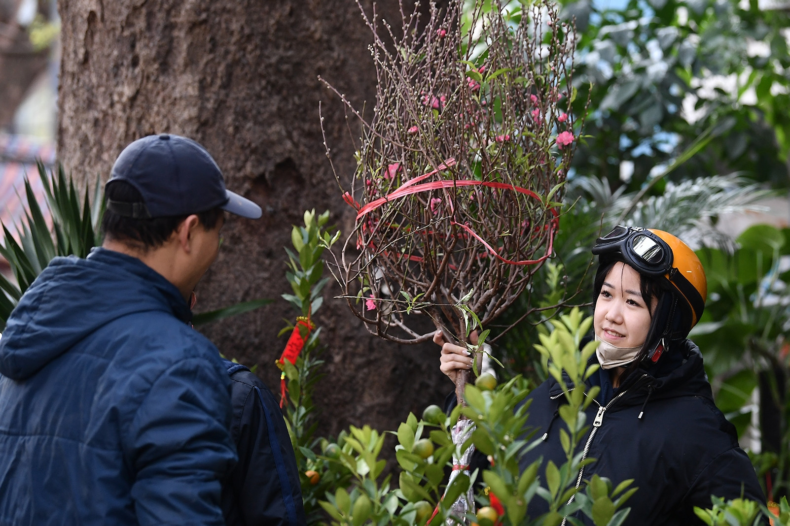 Thay cha 'đi Tết'