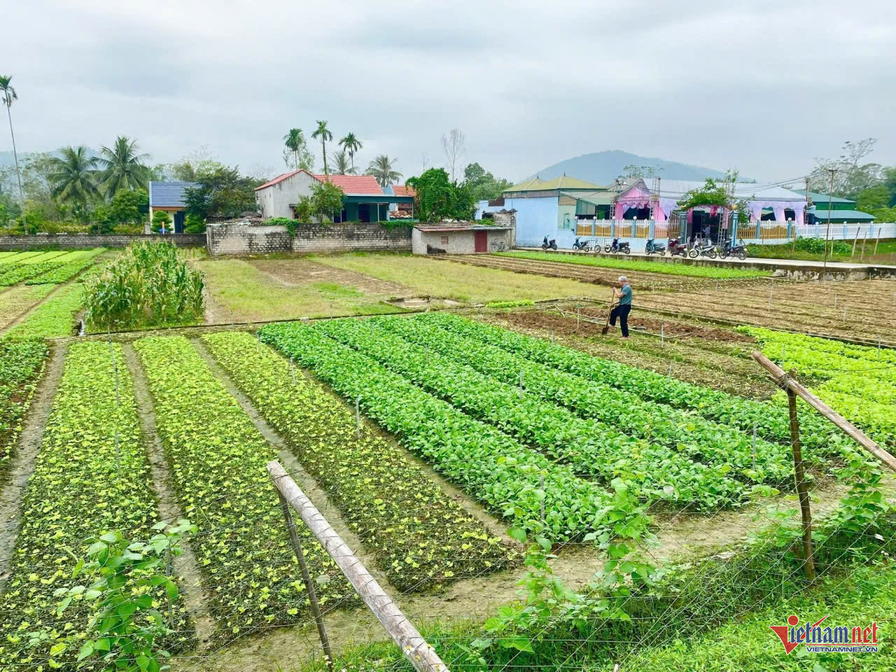 W-anhhtin ha noi.jpg