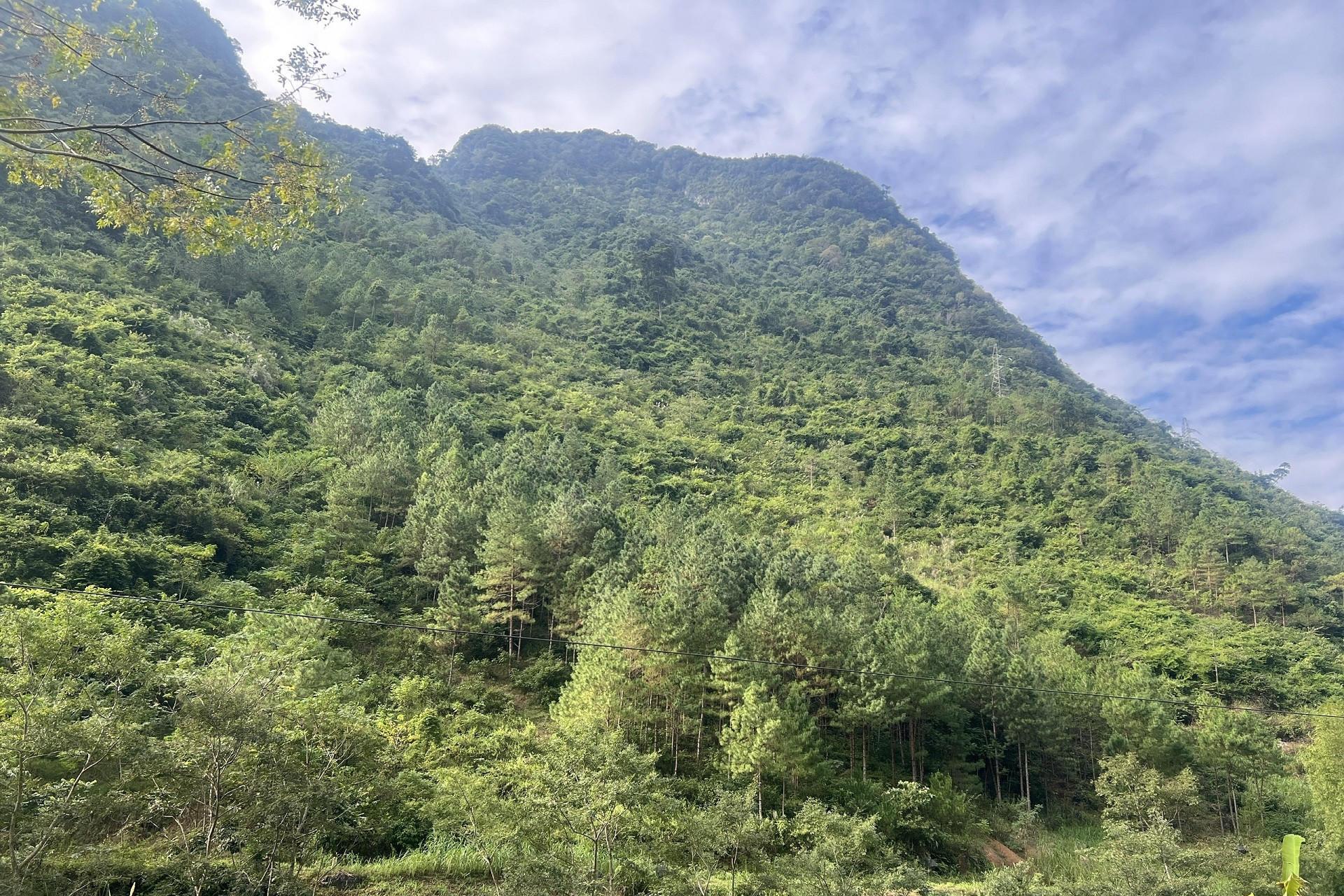 Cà Mau: Nghiệm thu kết quả đề tài ứng dụng công nghệ viễn thám để quản lý rừng