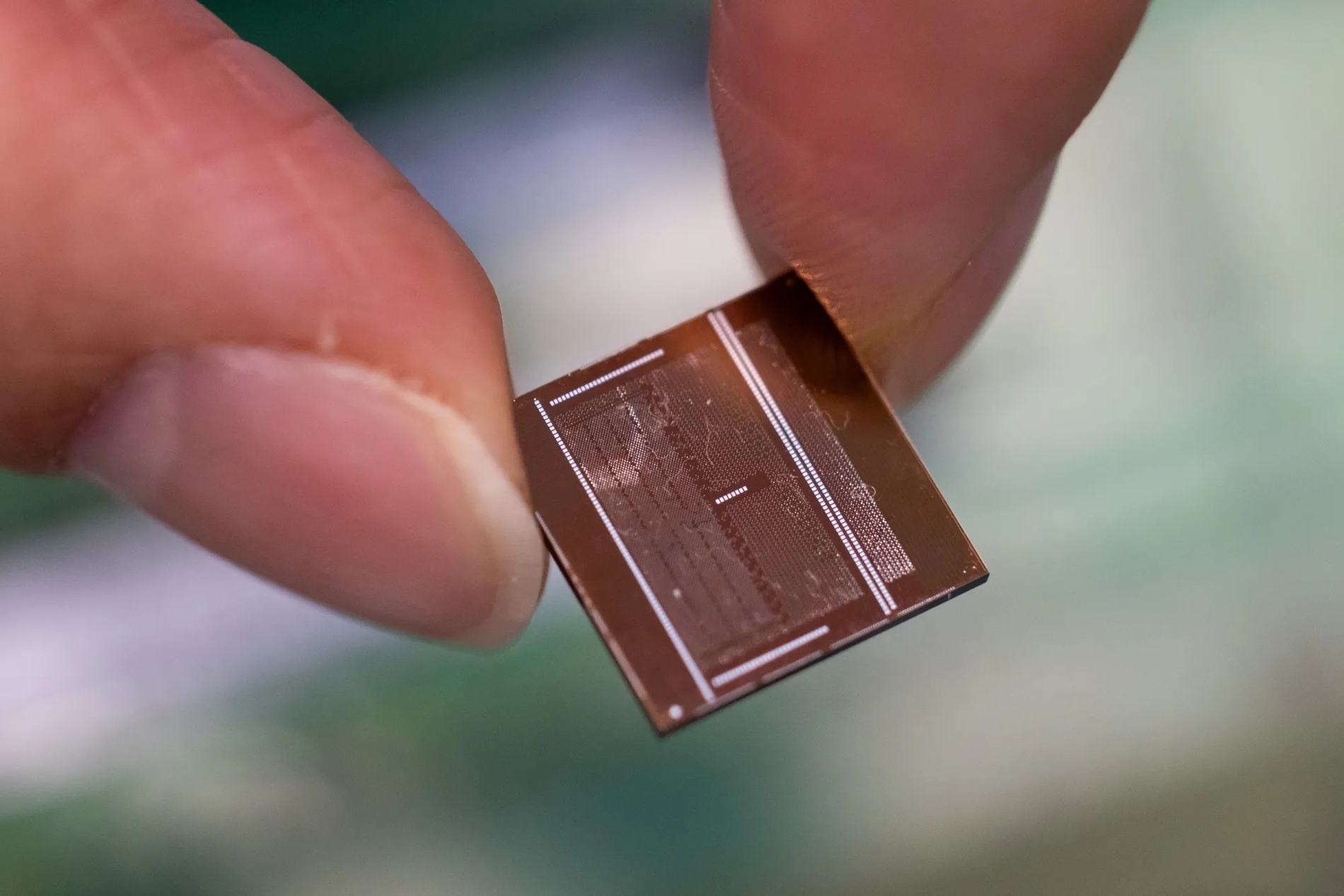 chip samsung bloomberg