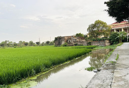 Xây nhà ở trên đất được cấp bằng giấy viết tay từ 1992, có được cấp sổ đỏ? Chuyển đất nông nghiệp lên thổ cư: Phù hợp quy hoạch cấp huyện vẫn bị trả hồ sơ