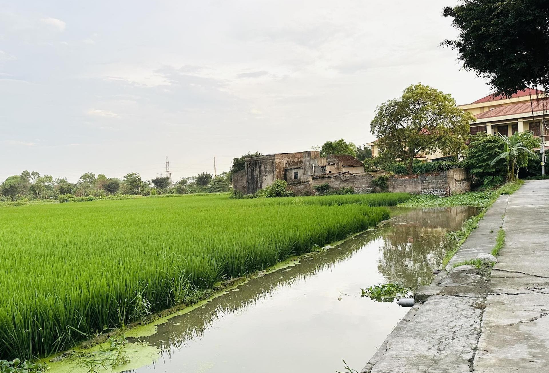 Chuyển đất nông nghiệp lên thổ cư: Phù hợp quy hoạch cấp huyện vẫn bị trả hồ sơ