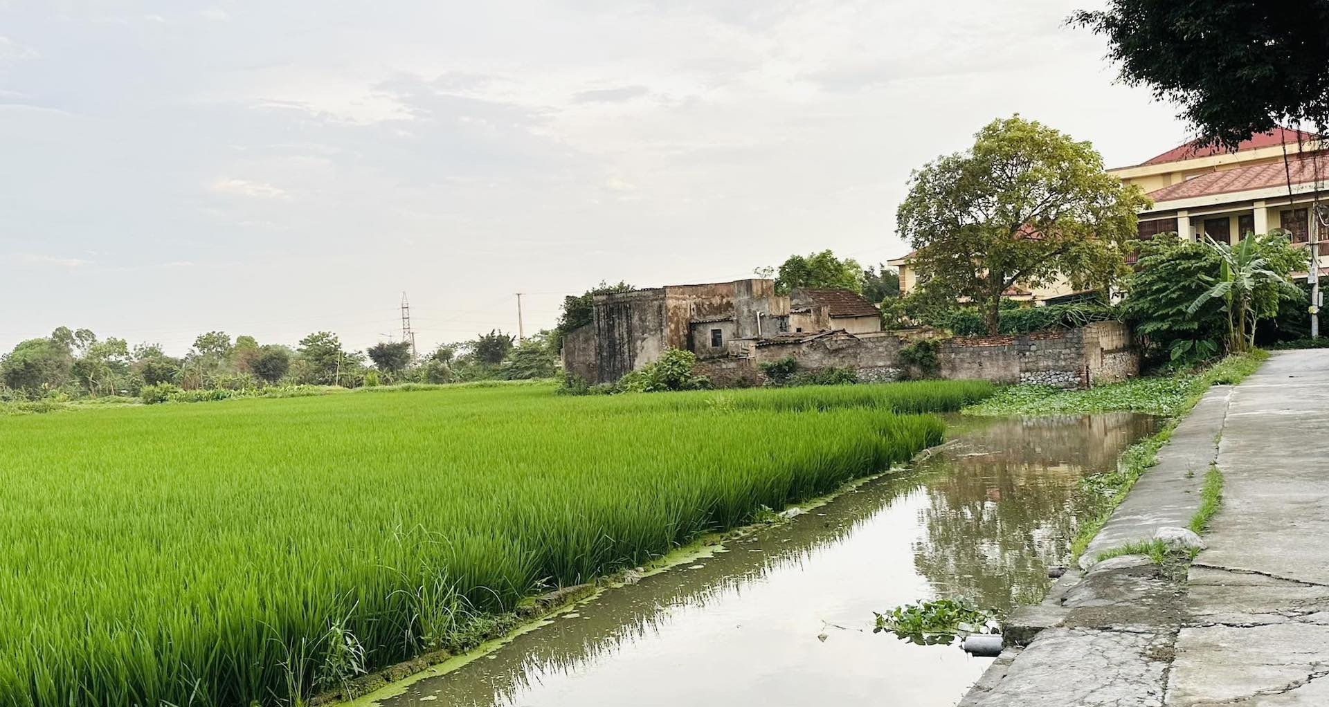 Chuyển đất nông nghiệp lên thổ cư: Phù hợp quy hoạch cấp huyện vẫn bị trả hồ sơ