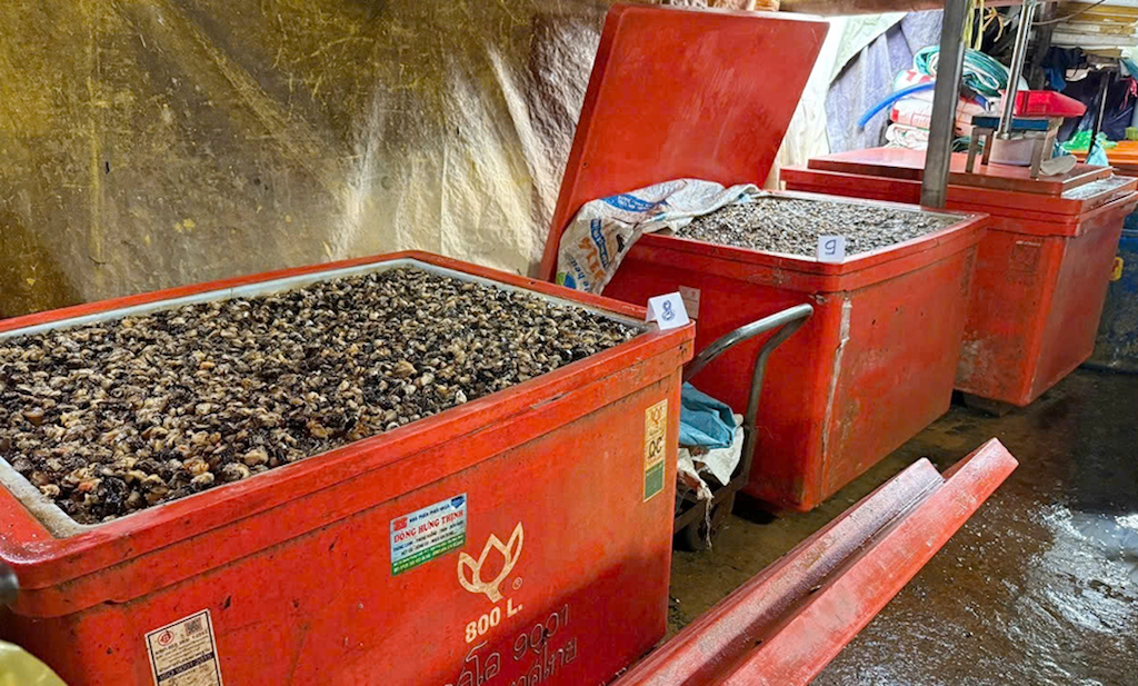 oc ngam hoa chat 3 931.png