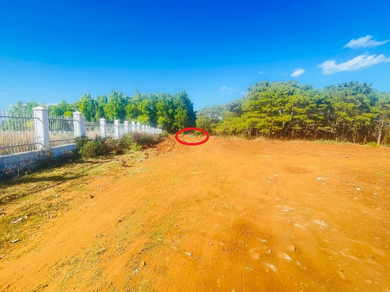 Tố giác tội phạm 3.jpg