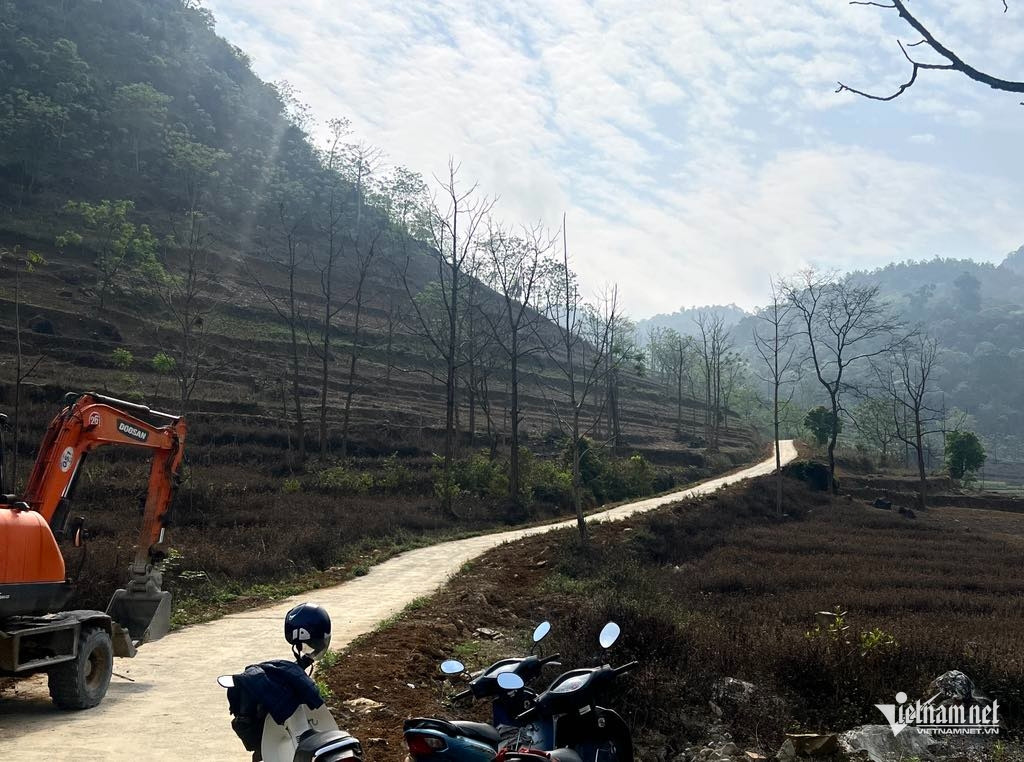 Box https://static-images.vnncdn.net/vps_images_publish/000001/000003/2026/1/27/w-anh-3-547.jpg