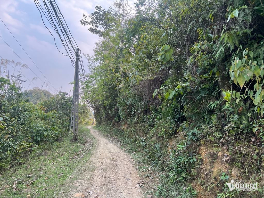 Box https://static-images.vnncdn.net/vps_images_publish/000001/000003/2026/1/27/w-anh-6-553.jpg