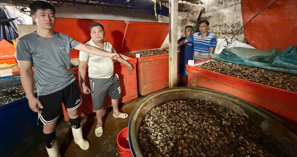 Bản tin sáng 28/1: Lời khai chủ lò bán 3.000 tấn ốc ngâm hóa chất cho quán nhậu