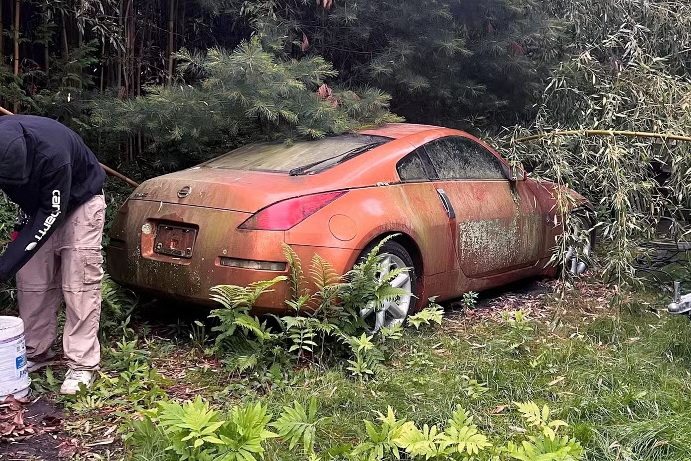 Chiếc xe Nissan hàng hiếm bị bỏ quên phủ đầy rêu mốc vẫn được rao bán giá cao