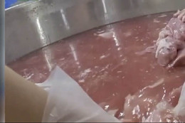 TPHCM phát cảnh báo tới toàn hệ thống giáo dục, mở rộng kiểm tra Sago Food YwAAAAAAQABAAACAUwAOw==