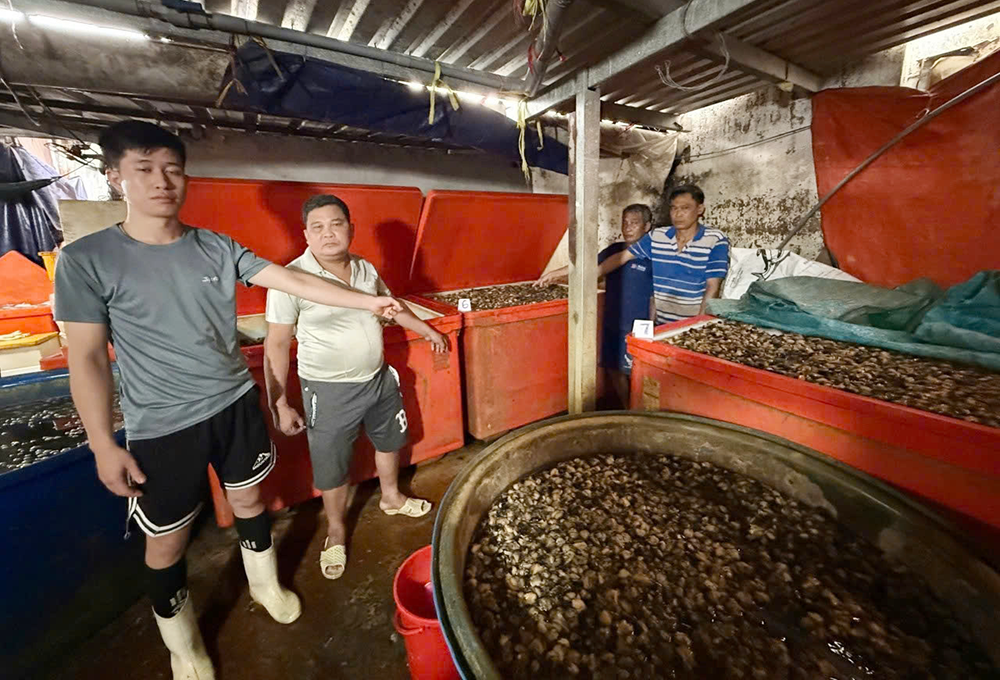 Lời khai của chủ lò bán 3.000 tấn ốc ngâm hóa chất cho quán nhậu, nhà hàng ở TPHCM