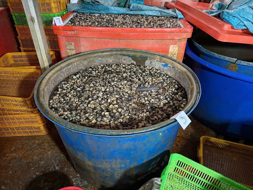 oc ngam hoa chat tphcm 2.png