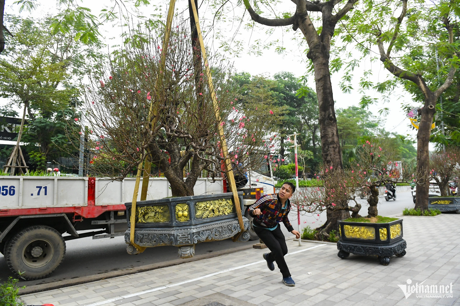 W-dao tet cay canh (1).jpg