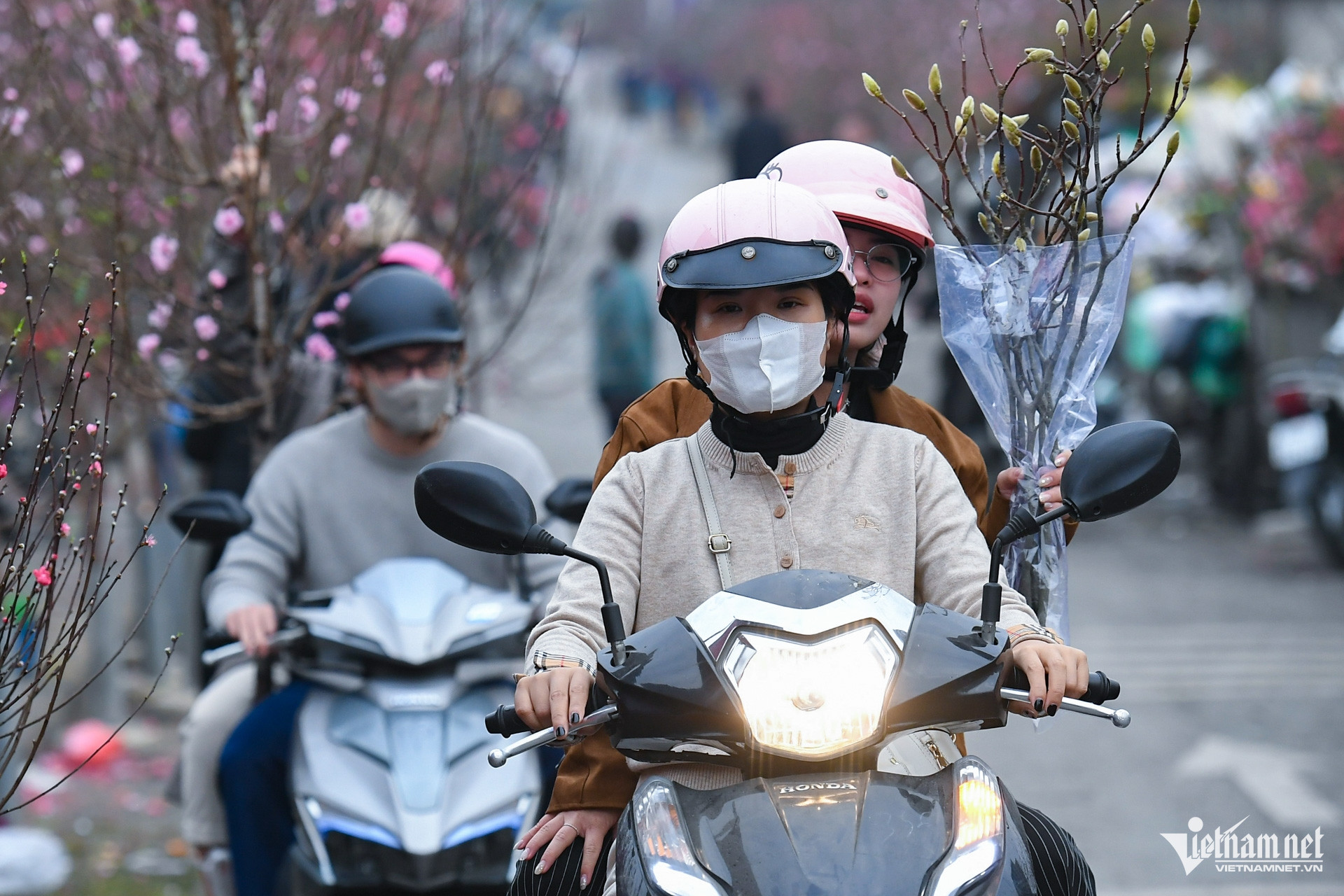 W-dao tet   cay canh (19).jpg