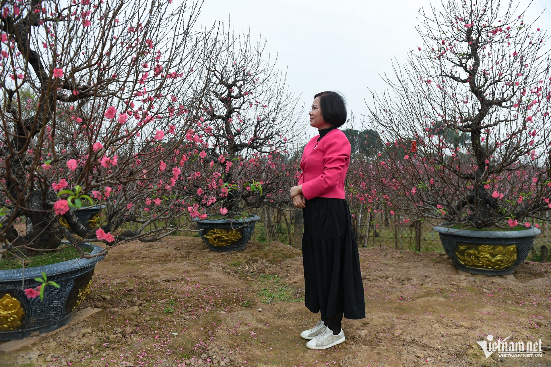 W-dao tet cay canh (9).jpg