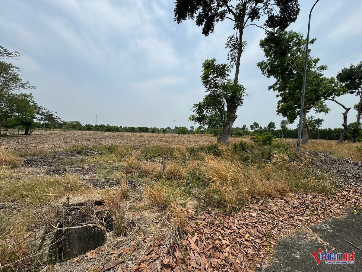 W-đất đồng nai.JPG.jpg