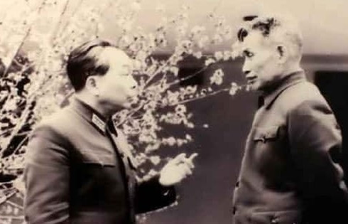 Đại tướng nào được gọi là 'thiên tài quân sự', 'dũng tướng'?