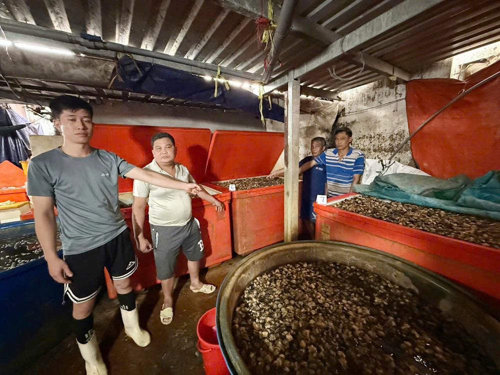 oc ngam hoa chat TpHCM 1.png