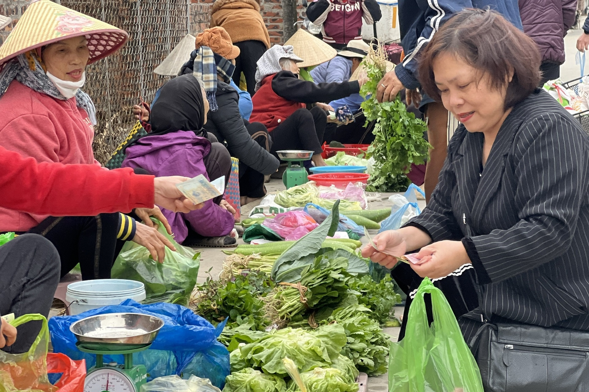 Việt Nam cần có cổng thông tin thị trường nông sản quốc gia