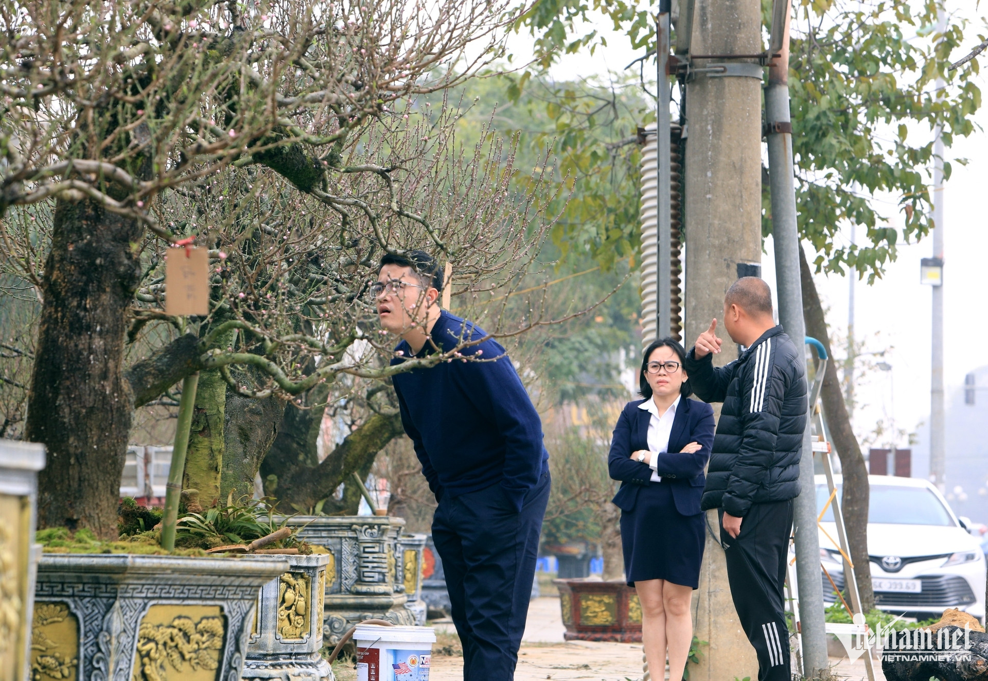 W-a1Nở rộ dịch vụ cho thuê gốc đào.JPG.jpg