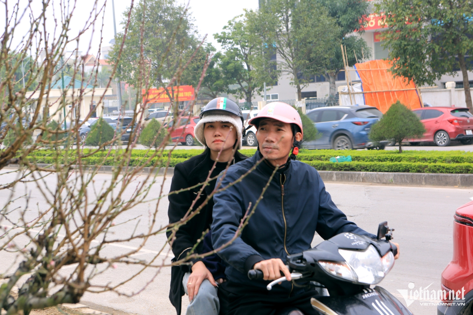 W-a4Nở rộ dịch vụ cho thuê gốc đào.JPG.jpg