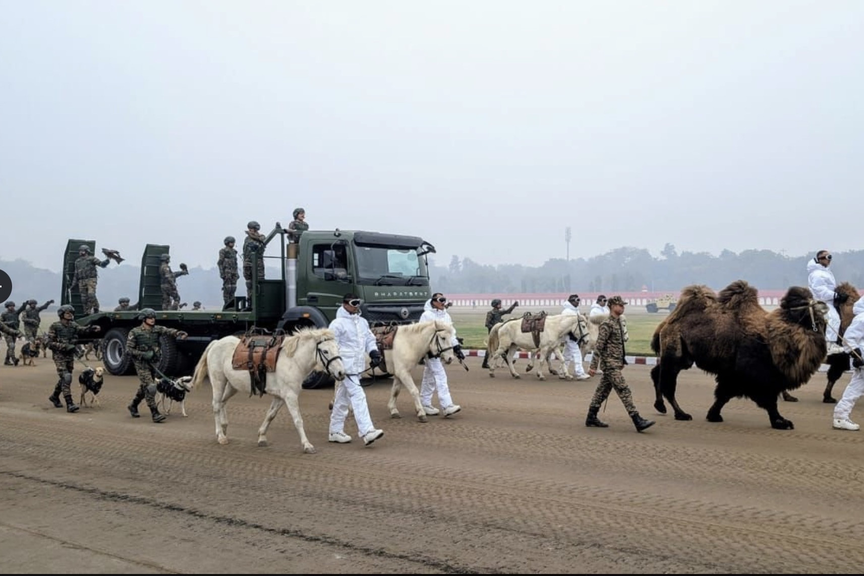 Cận cảnh đội quân lạc đà và đại bàng sẽ tham gia diễu binh ở Ấn Độ