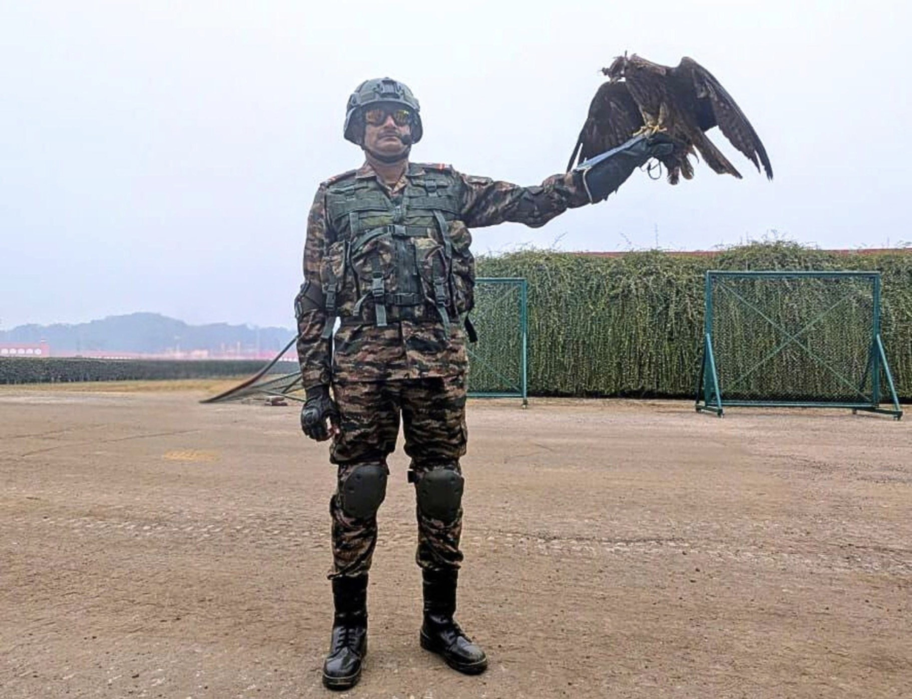 Đội quân động vật diễu binh. Ảnh: ANI