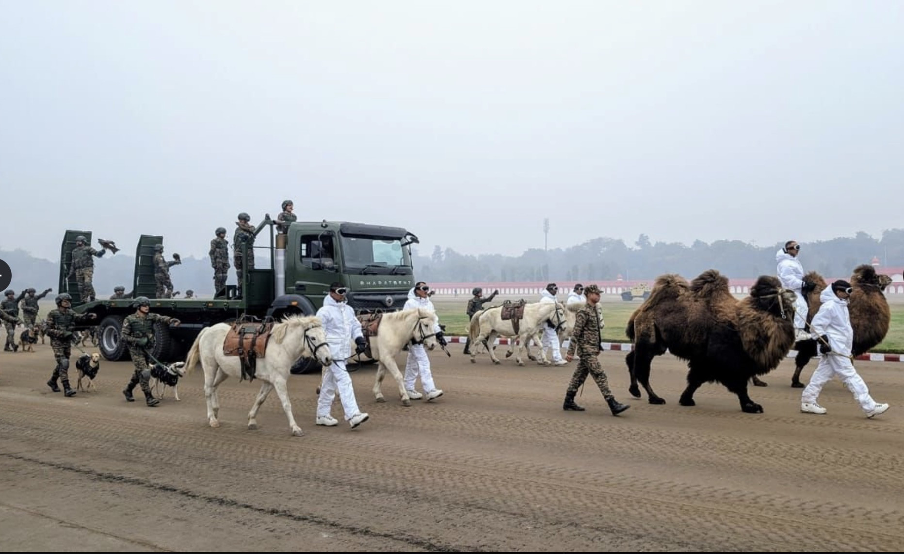 Đội quân động vật diễu binh. Ảnh: ANI