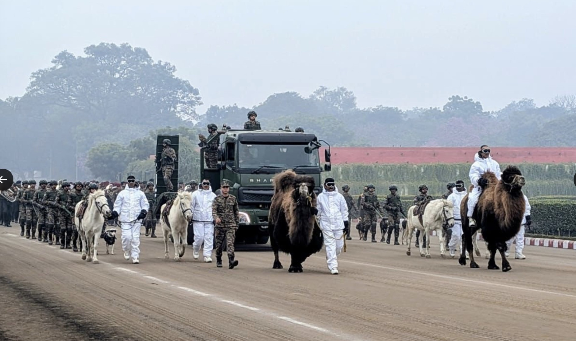 Đội quân động vật diễu binh. Ảnh: ANI