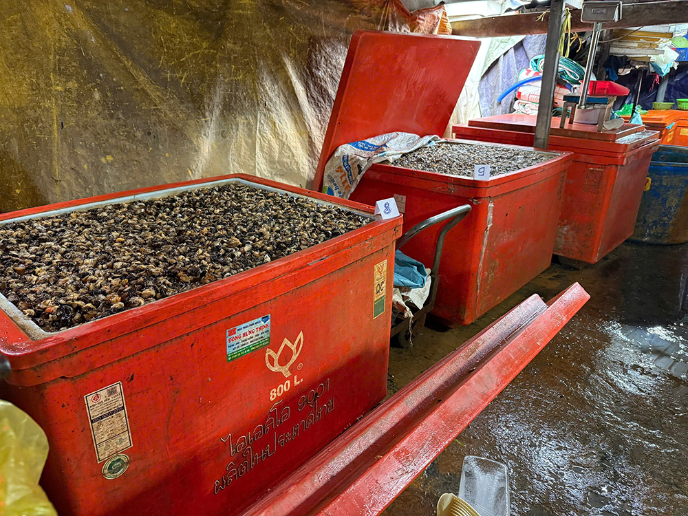 oc ngam hoa chat 3.png