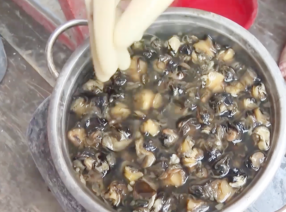 oc ngam hoa chat 4.png