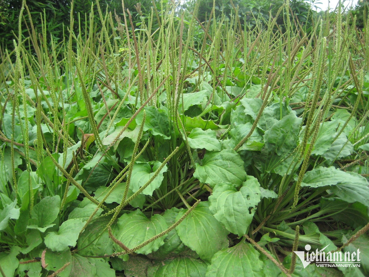 W-6b231b32 3fdc 4633 89e2 d2c7e6982a46.jpeg