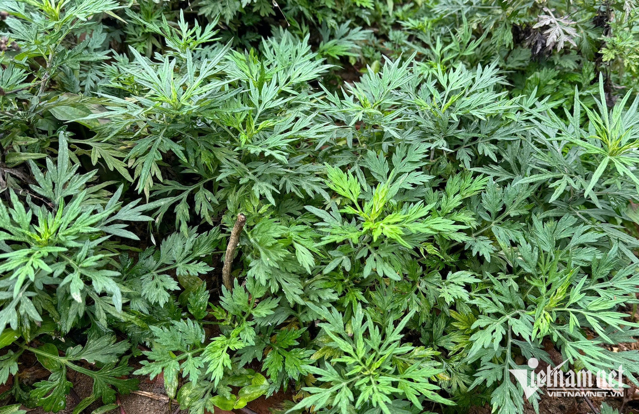 W-e6ea1ef0 0ffe 4adb b32f c5bab9fadedd.jpeg