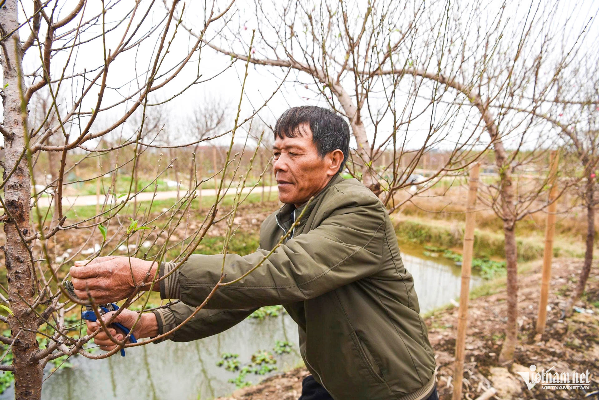 W-làng đào bắc ninh_6.JPG.jpg