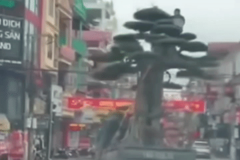 Cảnh sát xác định danh tính tài xế chở người và cây 'khủng' ở Ninh Bình