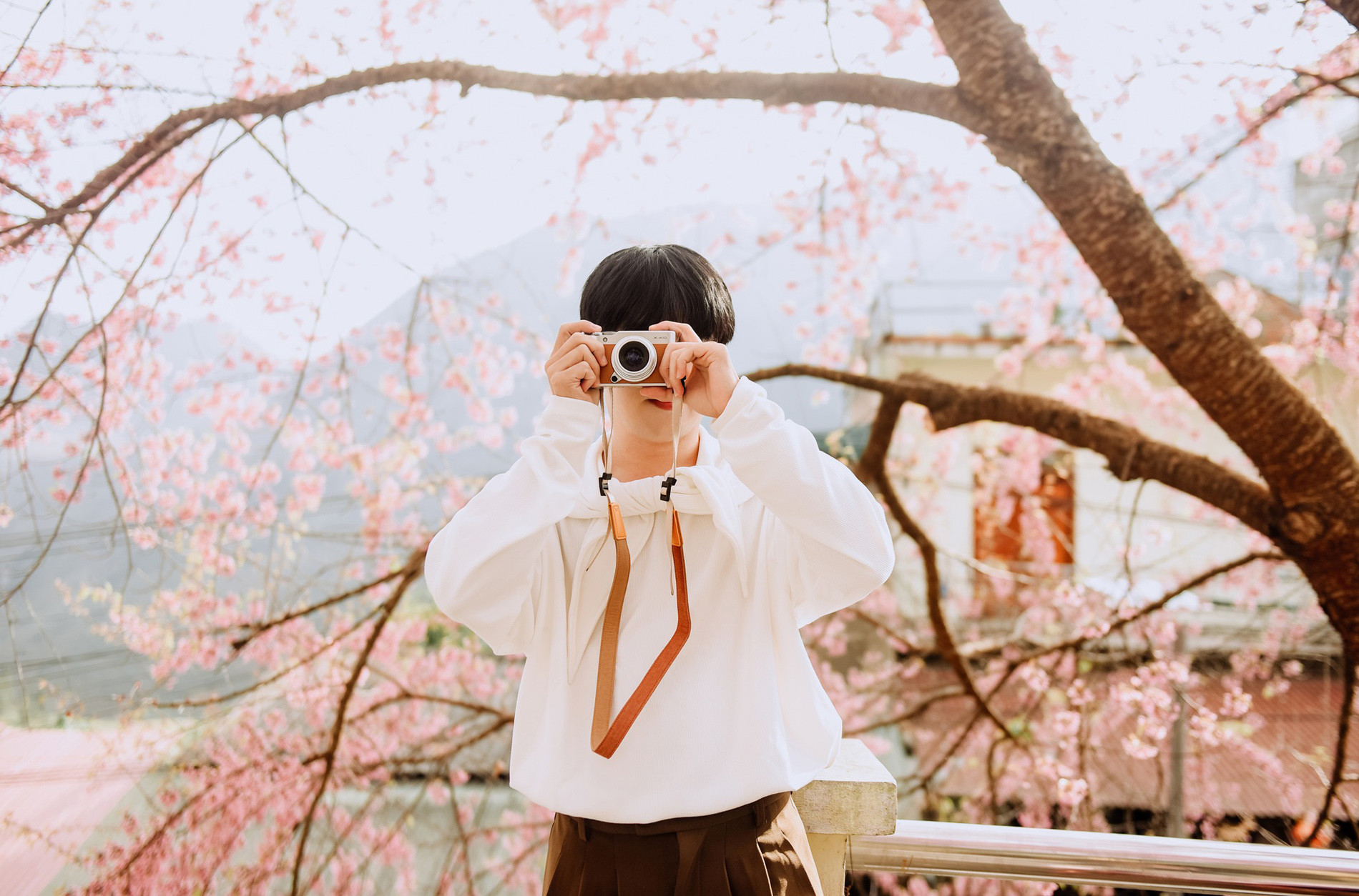 https://static-images.vnncdn.net/vps_images_publish/000001/000003/2026/1/4/mai-anh-dao-ha-giang-1-2184.jpg
