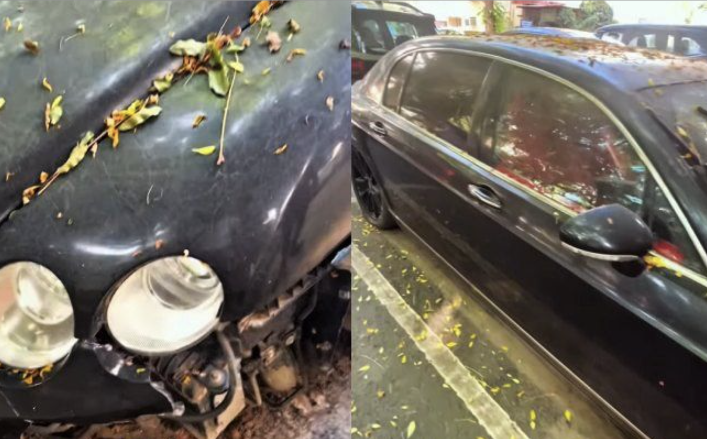 Ảnh màn hình 2026 01 05 lúc 15.25.14.png