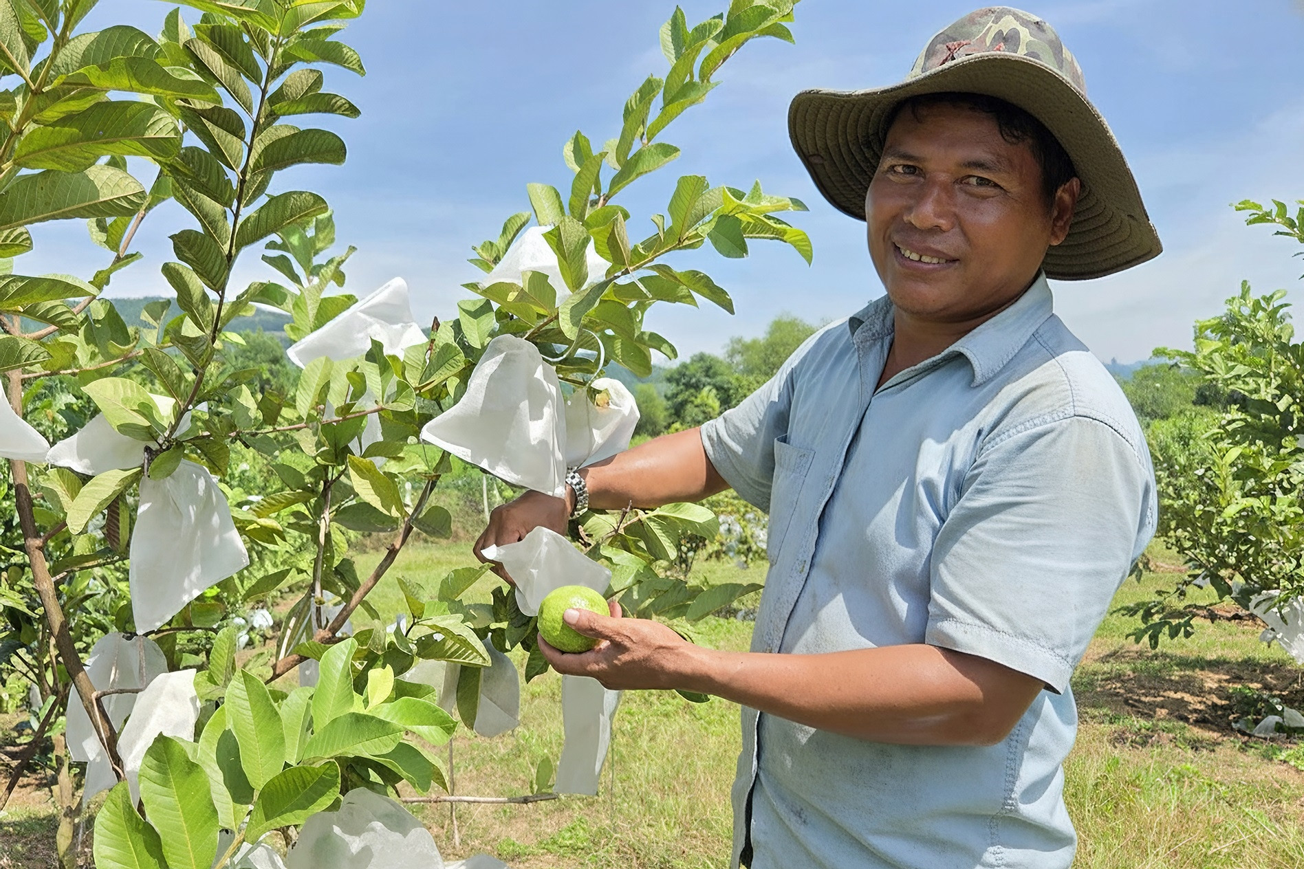 Biến đất sỏi đá thành vùng quả ngọt, nông dân Hrê cùng nhau thoát nghèo