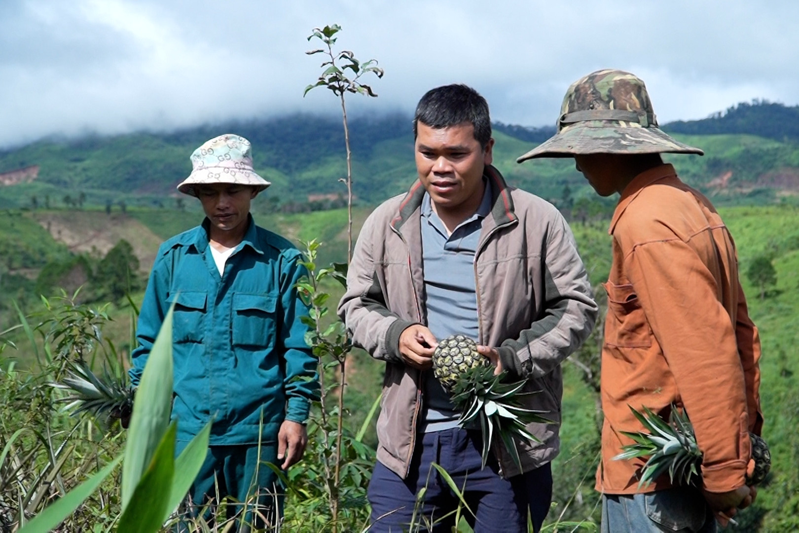 Chương trình MTQG 1719: Miền núi bền vững - cả nước cùng chung tay