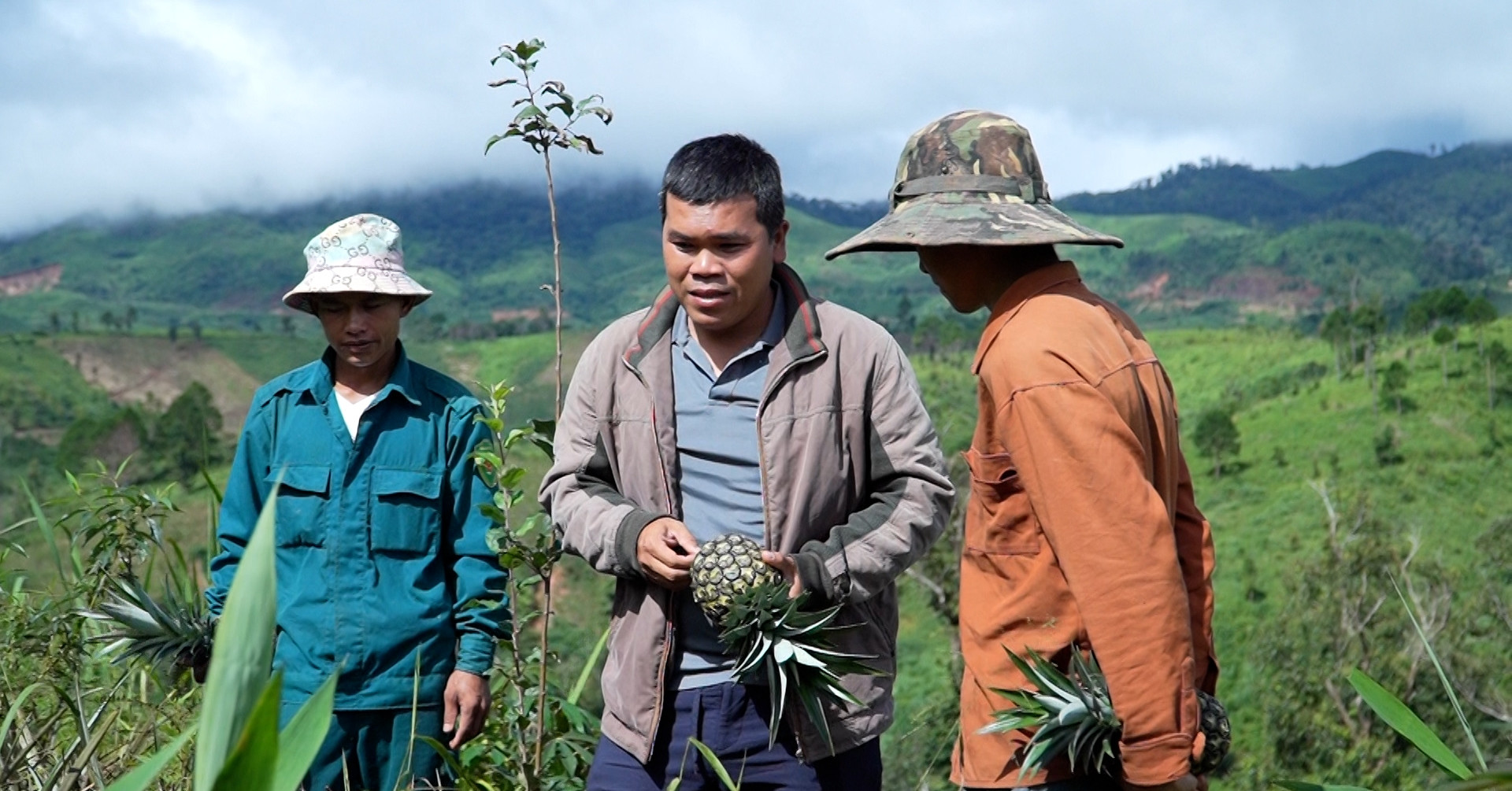 Chương trình MTQG 1719: Miền núi bền vững - cả nước cùng chung tay