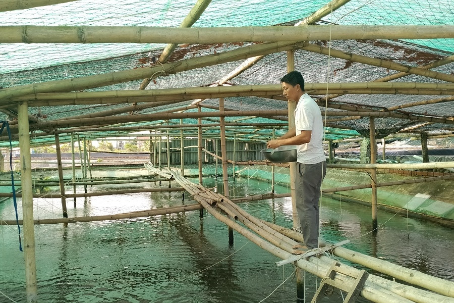 Đồng Tháp tăng cường ứng dụng công nghệ trong dự báo thị trường nông sản