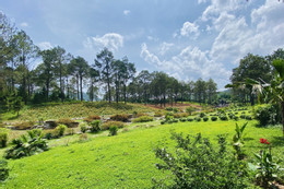 Đất nông nghiệp trong khu dân cư: Chuyển sang đất ở có phải xin tỉnh? Mua đất nông nghiệp bằng giấy viết tay từ năm 2002 có được cấp sổ đỏ?