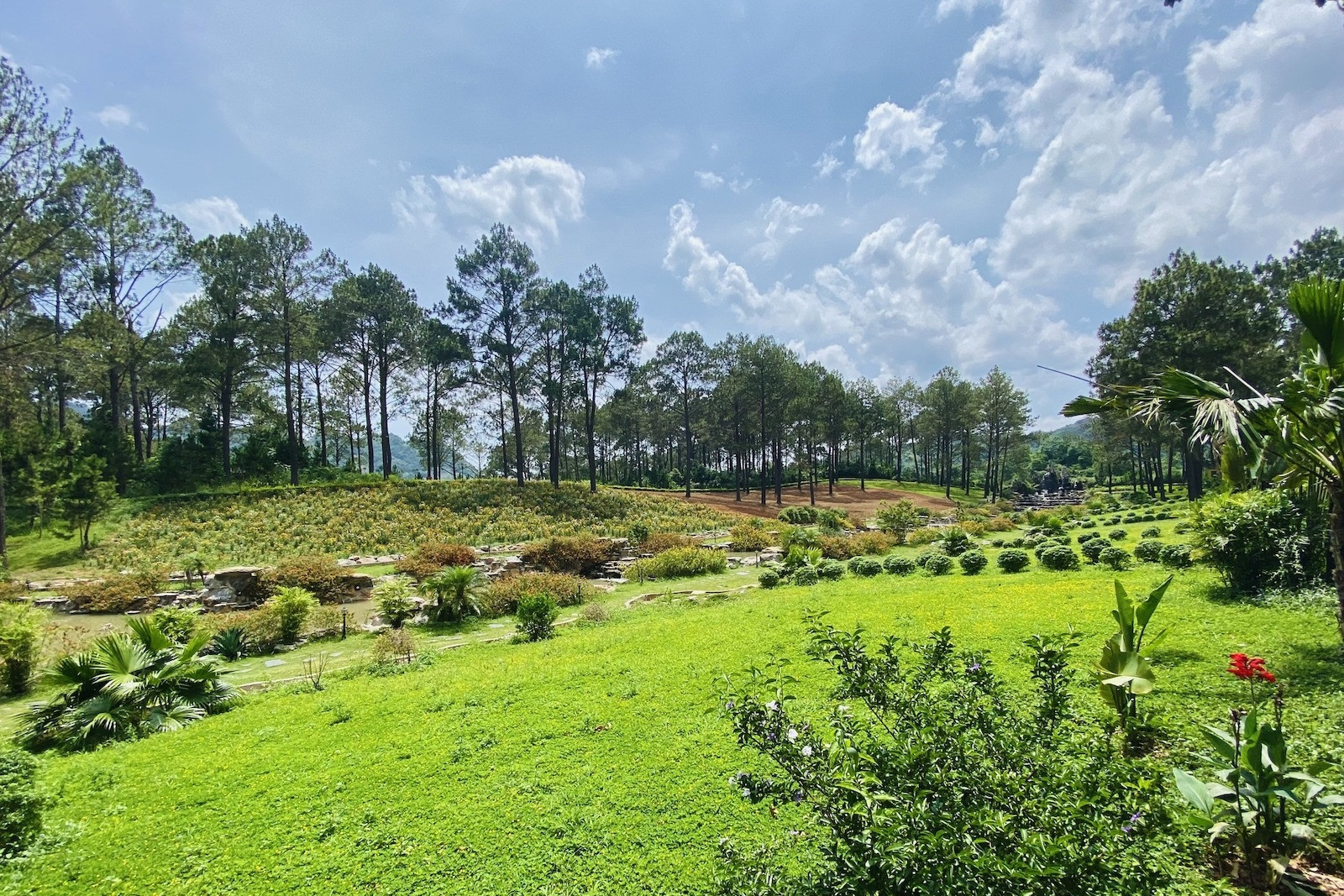 Mua đất nông nghiệp bằng giấy viết tay từ năm 2002 có được cấp sổ đỏ?