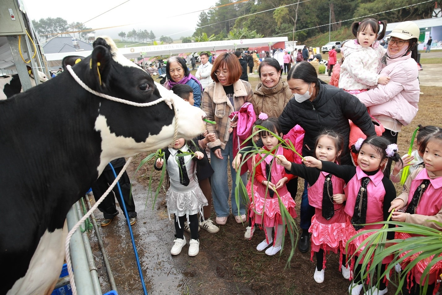 Người trẻ tìm về di sản nông nghiệp Mộc Châu qua trải nghiệm thực tế