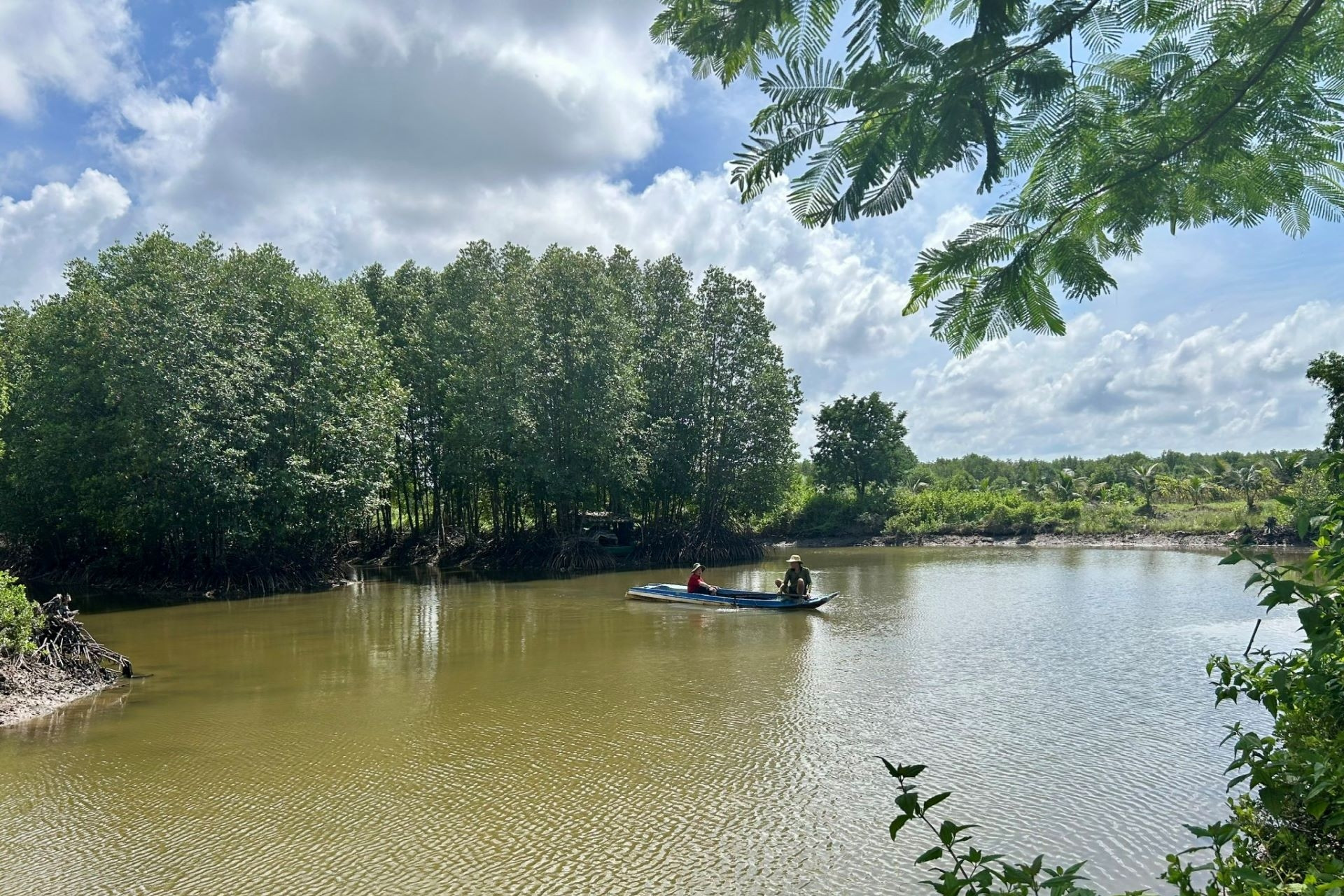 Nuôi tôm nước lợ tiếp tục là trụ cột tăng trưởng của ngành Thủy sản Cà Mau